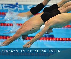 Aquagym in Artalens-Souin