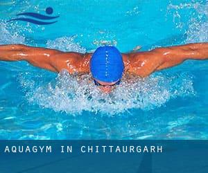 Aquagym in Chittaurgarh