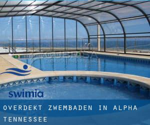 Overdekt Zwembaden in Alpha (Tennessee)