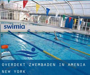 Overdekt Zwembaden in Amenia (New York)