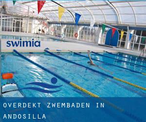 Overdekt Zwembaden in Andosilla