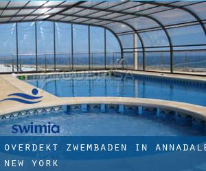 Overdekt Zwembaden in Annadale (New York)