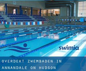 Overdekt Zwembaden in Annandale-on-Hudson