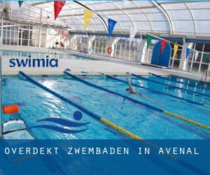 Overdekt Zwembaden in Avenal