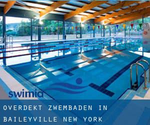 Overdekt Zwembaden in Baileyville (New York)