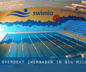 Overdekt Zwembaden in Big Mill