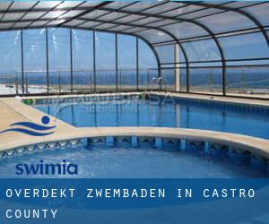 Overdekt Zwembaden in Castro County