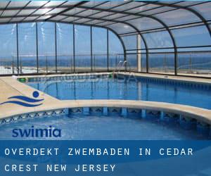 Overdekt Zwembaden in Cedar Crest (New Jersey)