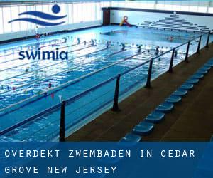 Overdekt Zwembaden in Cedar Grove (New Jersey)