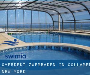 Overdekt Zwembaden in Collamer (New York)