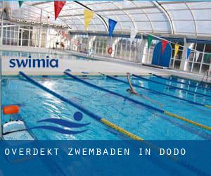 Overdekt Zwembaden in Dodo