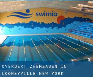 Overdekt Zwembaden in Looneyville (New York)