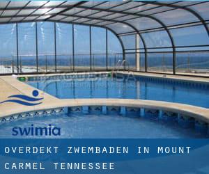 Overdekt Zwembaden in Mount Carmel (Tennessee)