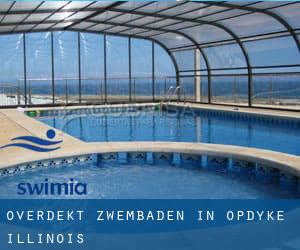 Overdekt Zwembaden in Opdyke (Illinois)