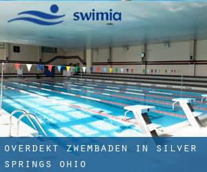 Overdekt Zwembaden in Silver Springs (Ohio)