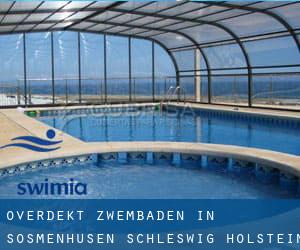 Overdekt Zwembaden in Sösmenhusen (Schleswig-Holstein)