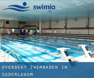 Overdekt Zwembaden in Süderlügum