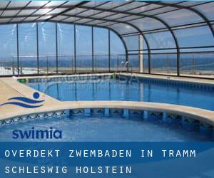 Overdekt Zwembaden in Tramm (Schleswig-Holstein)