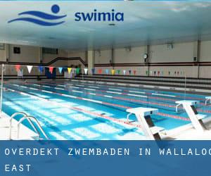 Overdekt Zwembaden in Wallaloo East