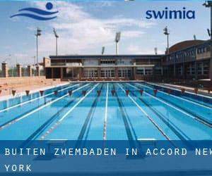 Buiten Zwembaden in Accord (New York)