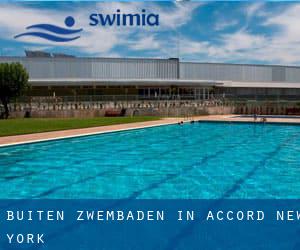 Buiten Zwembaden in Accord (New York)