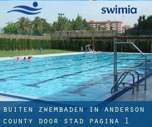 Buiten Zwembaden in Anderson County door Stad - pagina 1