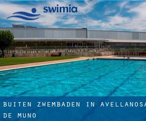 Buiten Zwembaden in Avellanosa de Muñó