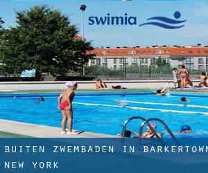 Buiten Zwembaden in Barkertown (New York)