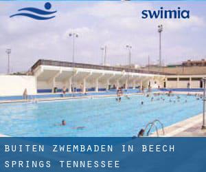 Buiten Zwembaden in Beech Springs (Tennessee)