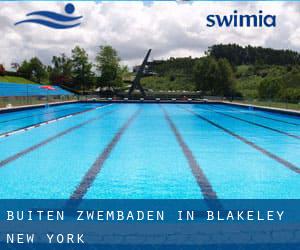 Buiten Zwembaden in Blakeley (New York)