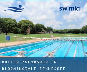 Buiten Zwembaden in Bloomingdale (Tennessee)