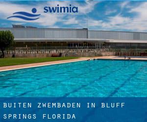 Buiten Zwembaden in Bluff Springs (Florida)