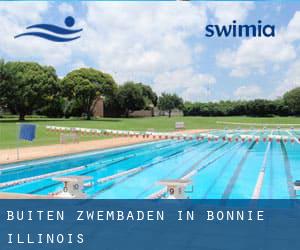 Buiten Zwembaden in Bonnie (Illinois)