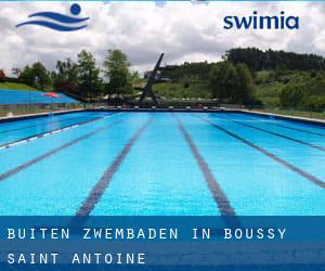 Buiten Zwembaden in Boussy-Saint-Antoine