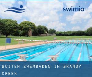 Buiten Zwembaden in Brandy Creek