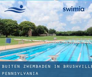 Buiten Zwembaden in Brushville (Pennsylvania)