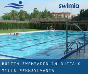 Buiten Zwembaden in Buffalo Mills (Pennsylvania)