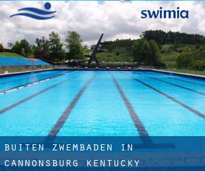 Buiten Zwembaden in Cannonsburg (Kentucky)