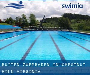 Buiten Zwembaden in Chestnut Hill (Virginia)