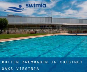 Buiten Zwembaden in Chestnut Oaks (Virginia)