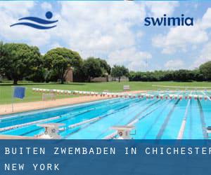 Buiten Zwembaden in Chichester (New York)