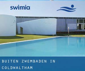 Buiten Zwembaden in Coldwaltham