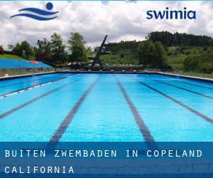 Buiten Zwembaden in Copeland (California)