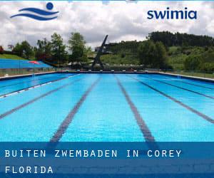 Buiten Zwembaden in Corey (Florida)