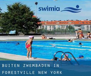 Buiten Zwembaden in Forestville (New York)