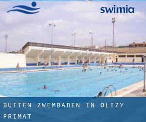 Buiten Zwembaden in Olizy-Primat