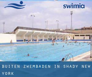 Buiten Zwembaden in Shady (New York)