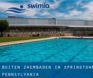 Buiten Zwembaden in Springtown (Pennsylvania)