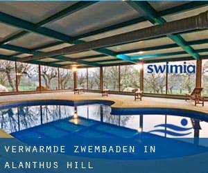 Verwarmde Zwembaden in Alanthus Hill