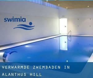 Verwarmde Zwembaden in Alanthus Hill